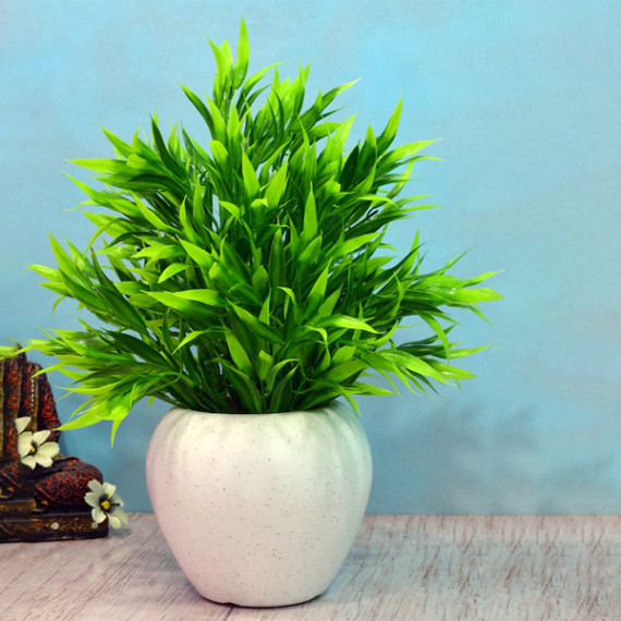 https://designerszone.in/products/green-white-artificial-bamboo-leaves-in-apple-pot