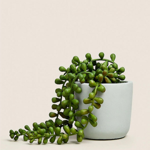 https://designerszone.in/vi/products/green-artificial-plant-with-pot